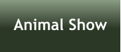 Animal Show