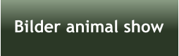 Bilder animal show