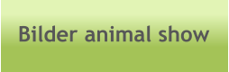 Bilder animal show