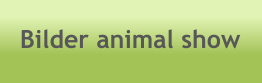 Bilder animal show