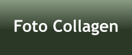 Foto Collagen
