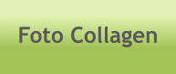 Foto Collagen