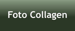 Foto Collagen