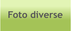 Foto diverse