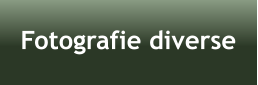 Fotografie diverse