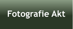 Fotografie Akt