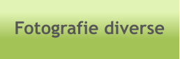 Fotografie diverse