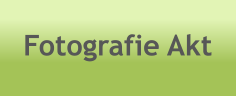 Fotografie Akt